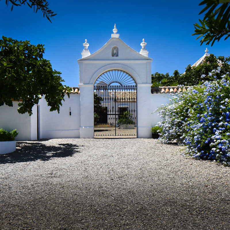 Makelaar voor luxe landhuizen en boederijen in Andalusië