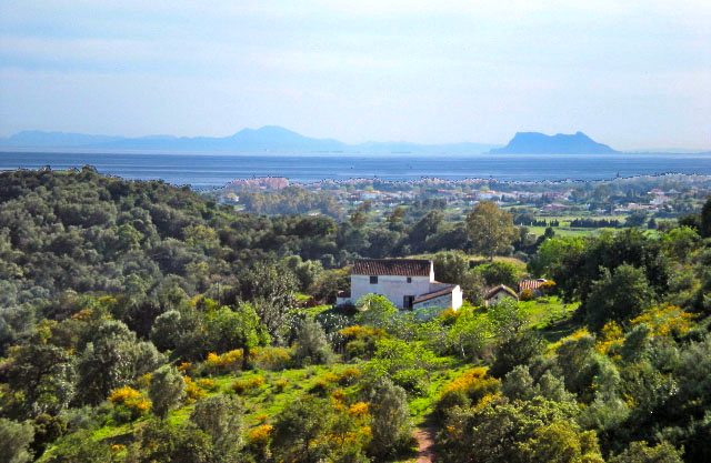 Large plot of land for villa Project in Andalusia Marbella