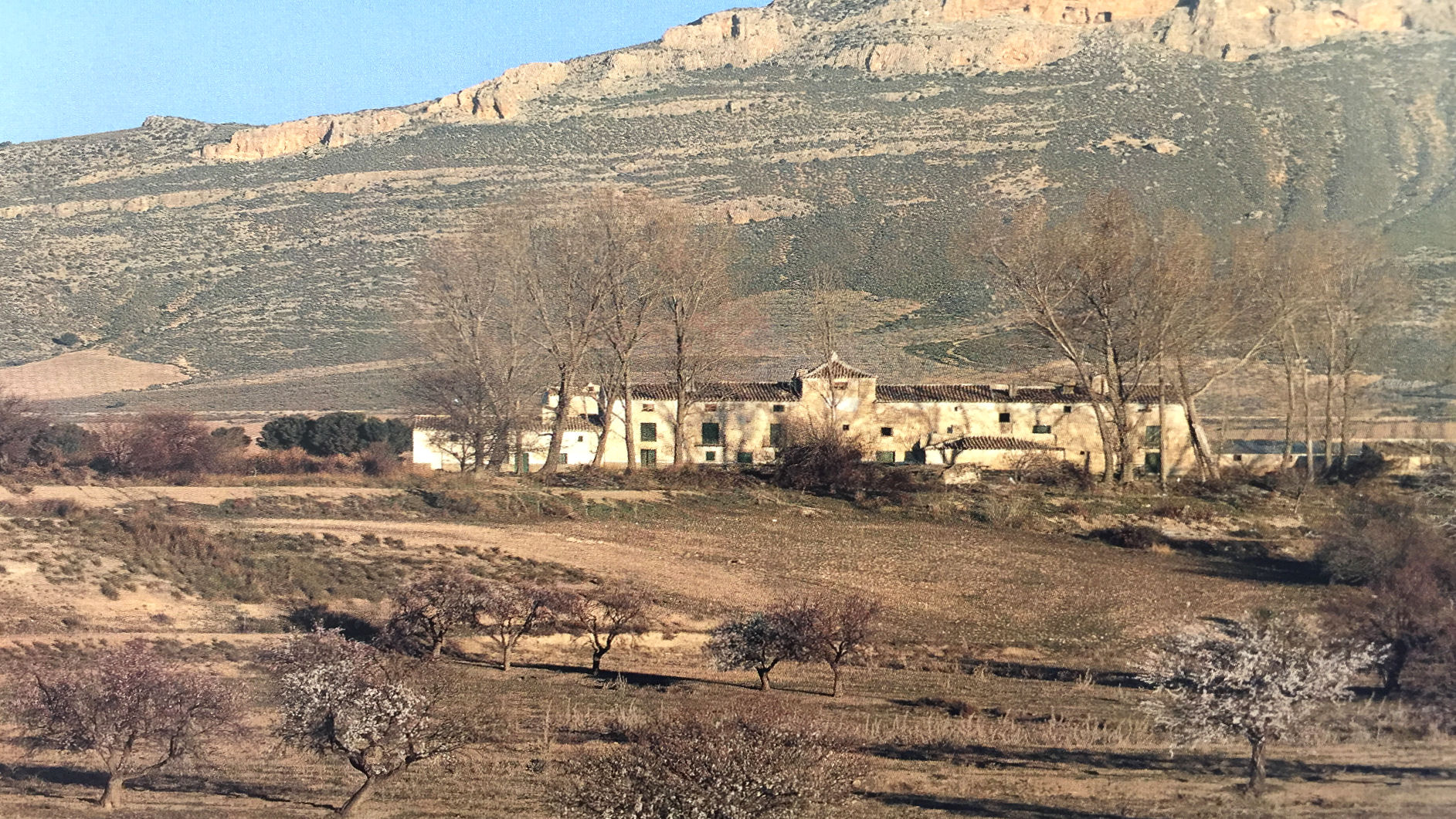 old hacienda andalusia