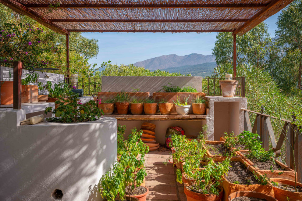 vegetable-patch-gaucin