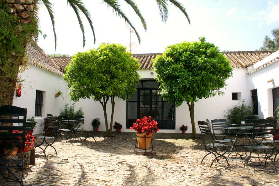 Luxury Country houses in Vejer de la Frontera, Conil, Barbate, Medina Sidonia, Arcos de la Frontera, Costa de la Luz, Spain