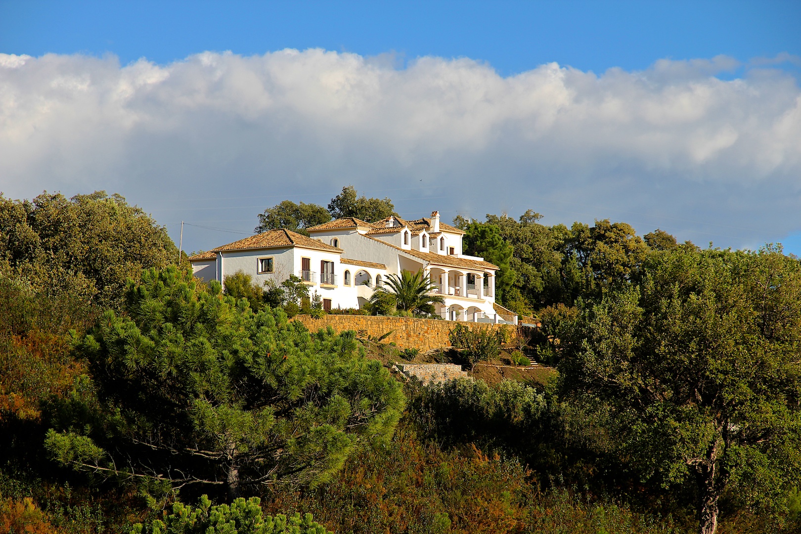 Villa for sale Casares, Celima