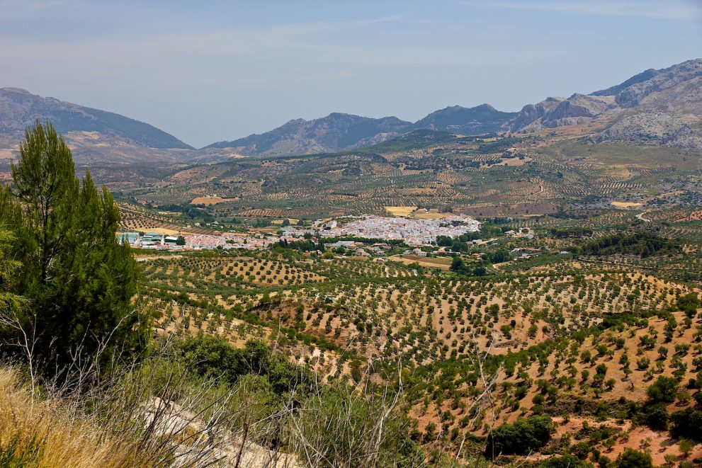 Landhauser in El Burgo Andalusien