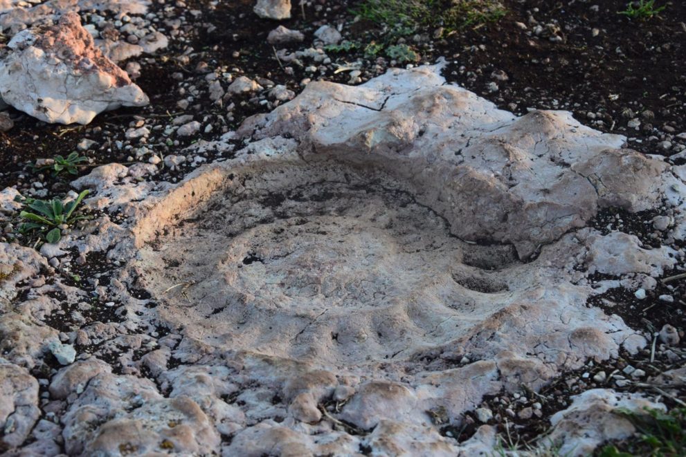 fossil-torcal-antequera