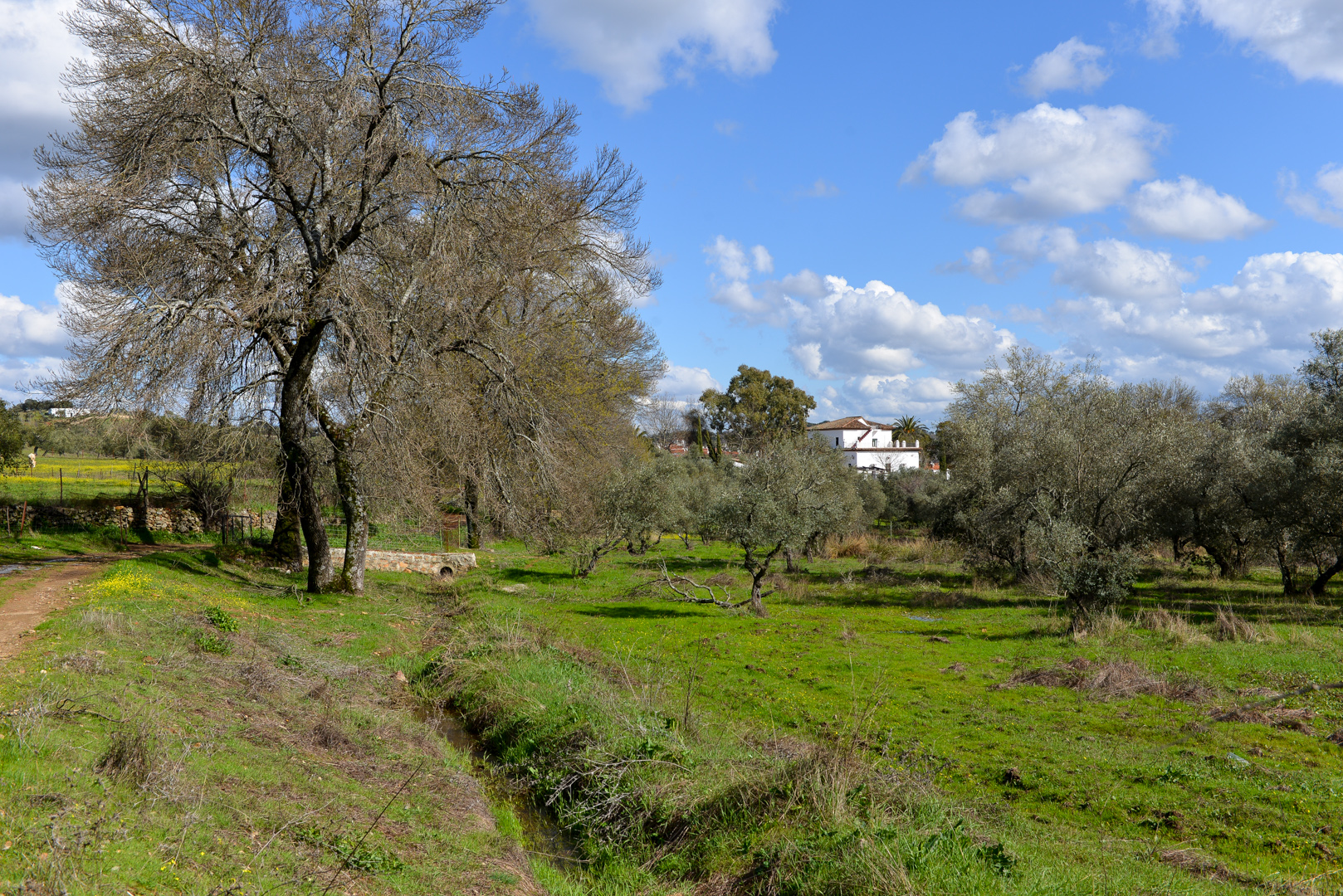 Why purchase a Cortijo in Cazalla de la Sierra, Seville? - Villas & Fincas