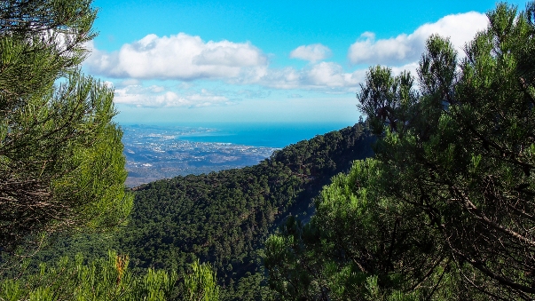 Villas 'Los Reales' in Estepona