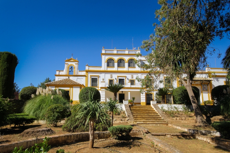 Information about Seville Villas & Fincas