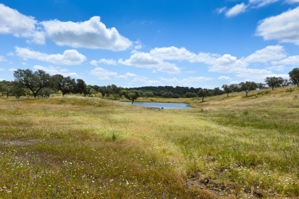 information-about-huelva