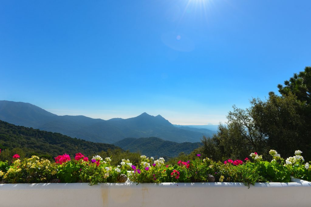 Andalucia vistas