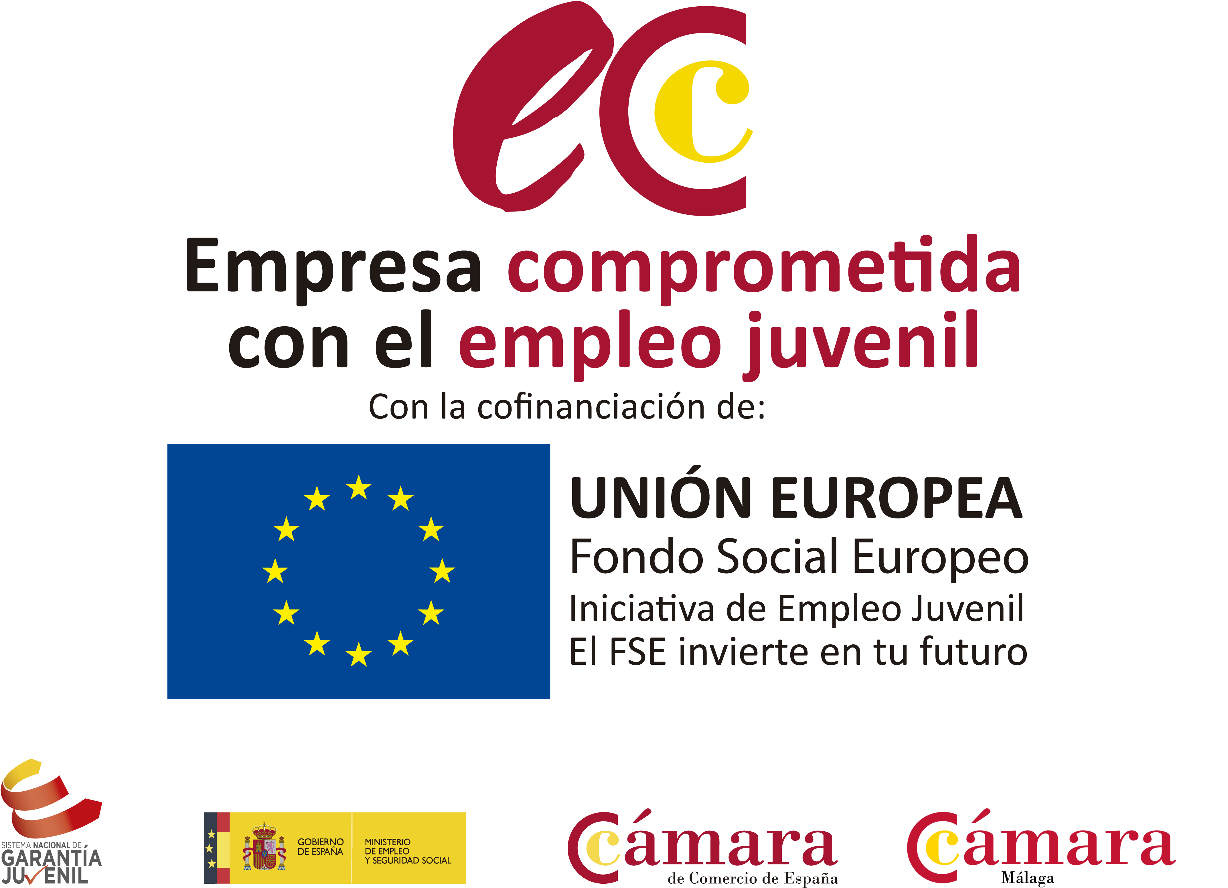 empleo juvenil