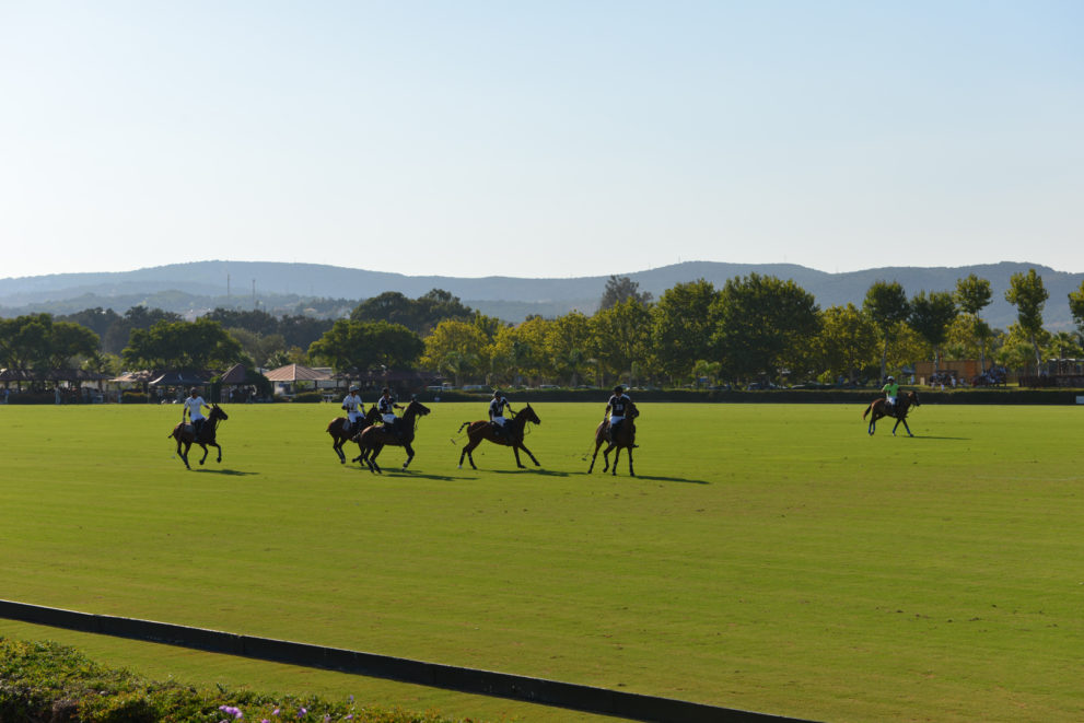 polo-fields-sotogrande