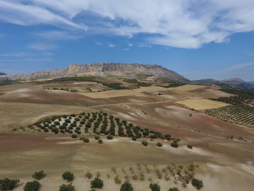 Villanueva de la Concepcion