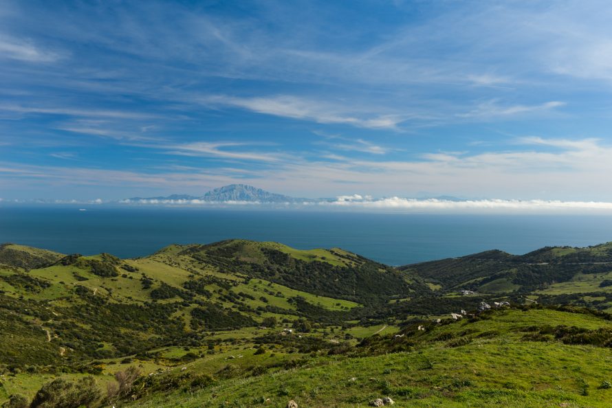Tarifa