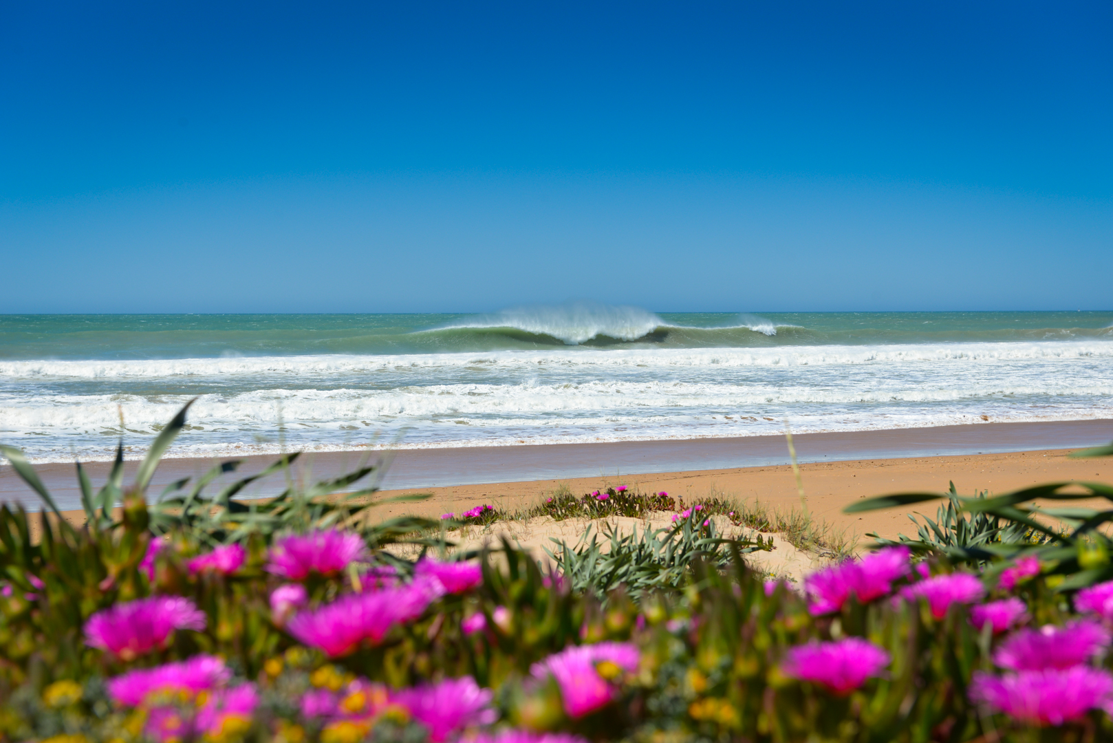Playas Blancas de Cadiz