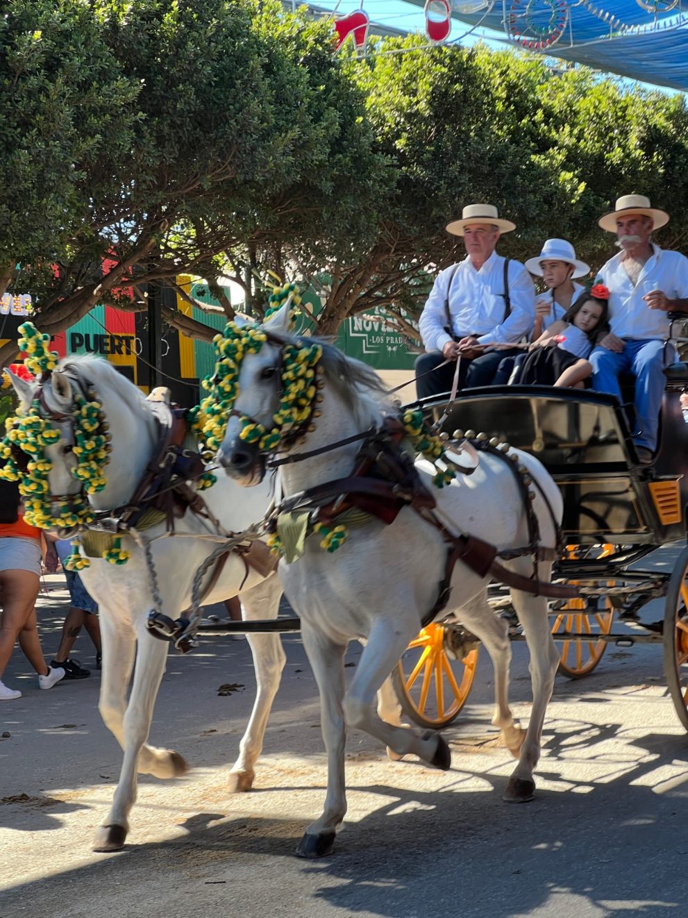 horses-in-cadiz