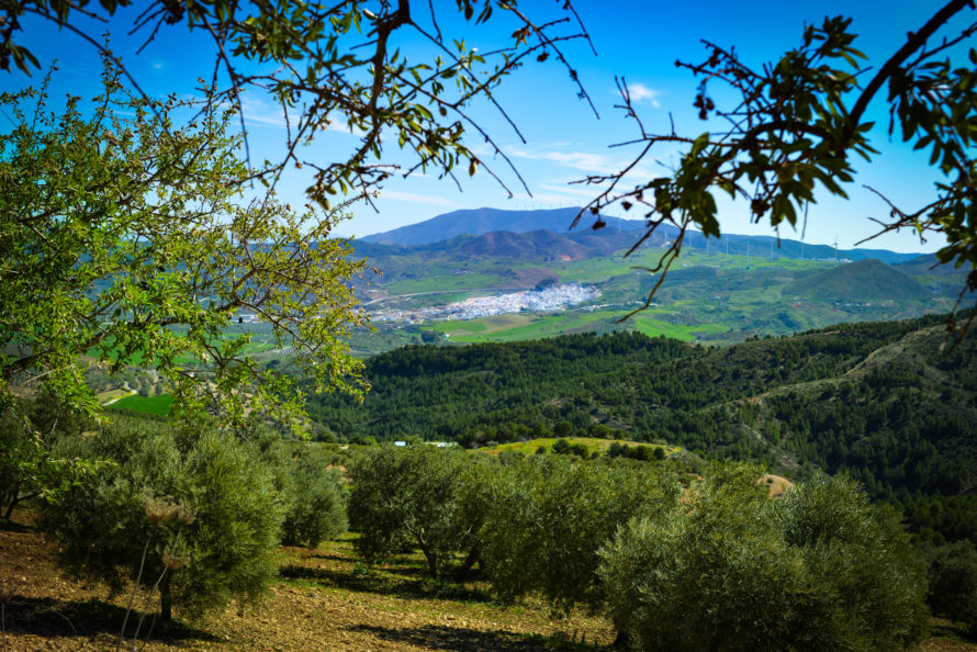 Ardales