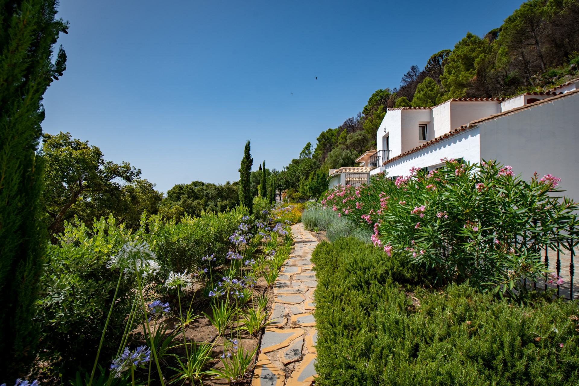 Villa de campo en venta, Casares