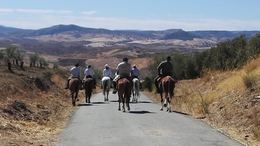 turismo osuna ronda caballo