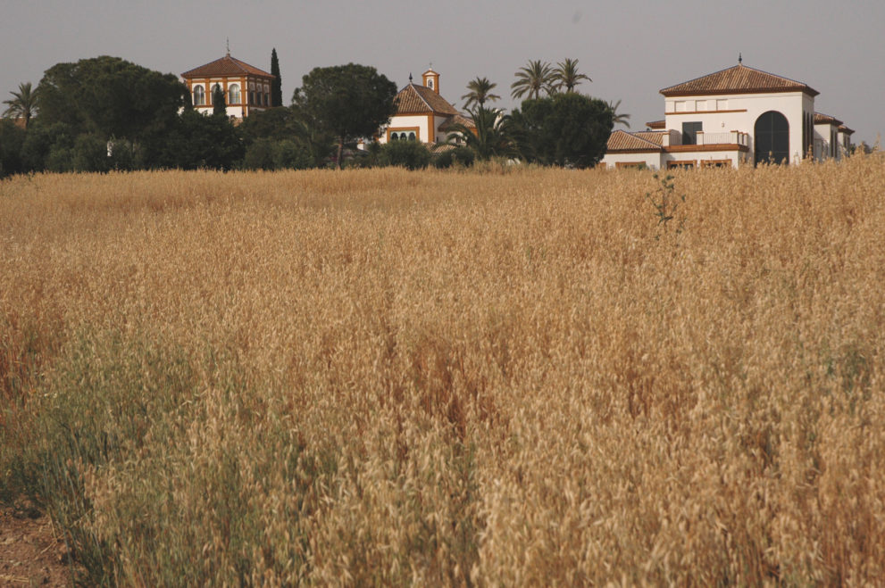 luxury estate for sale in Southern Spain