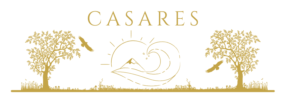 Informacion sobre Casares