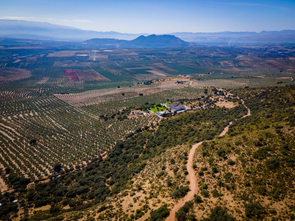 country estate for sale granada