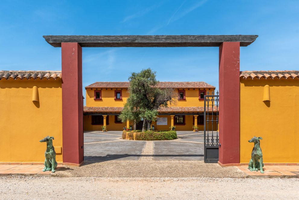buy-an-equestrian-estate-in-Andalucia