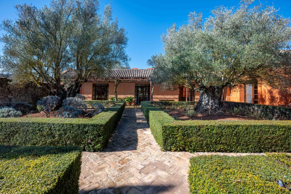 Courtyard with olive trees