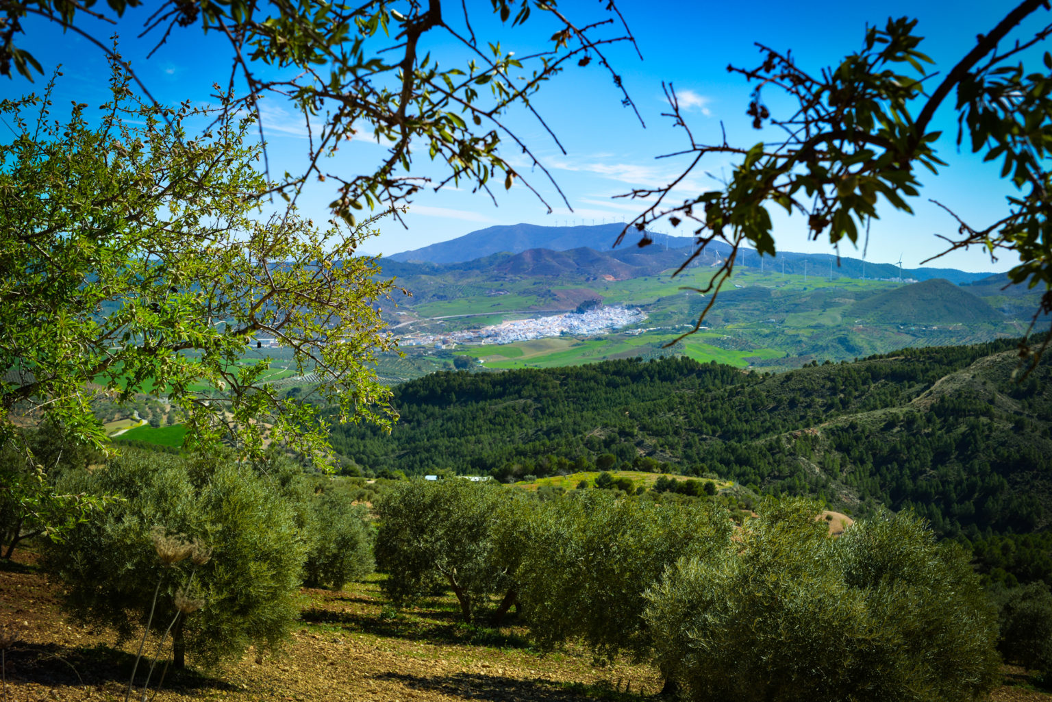 Ardales-town-in-the-mountainous-countryside-andalusia