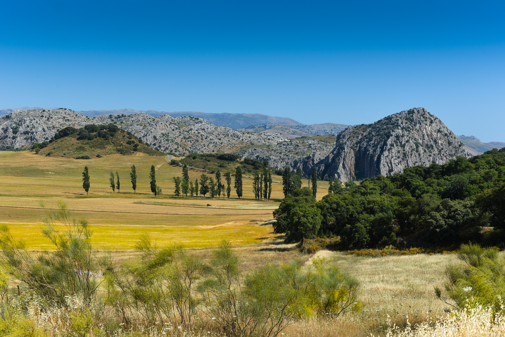 mortgages-in-spain-andalusia-rustic-land