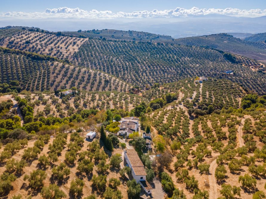 Cortijo for sale near Montefrio, Granada