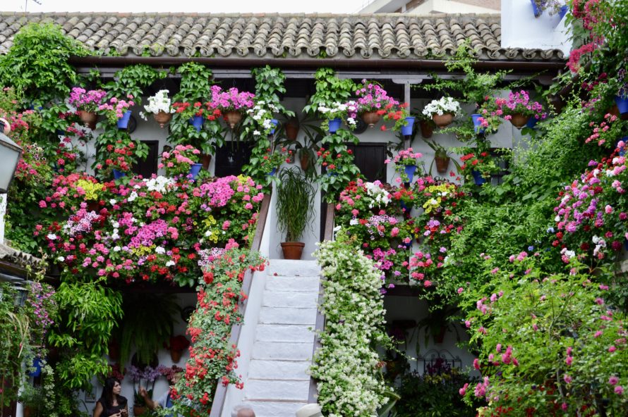 patios-de-cordoba