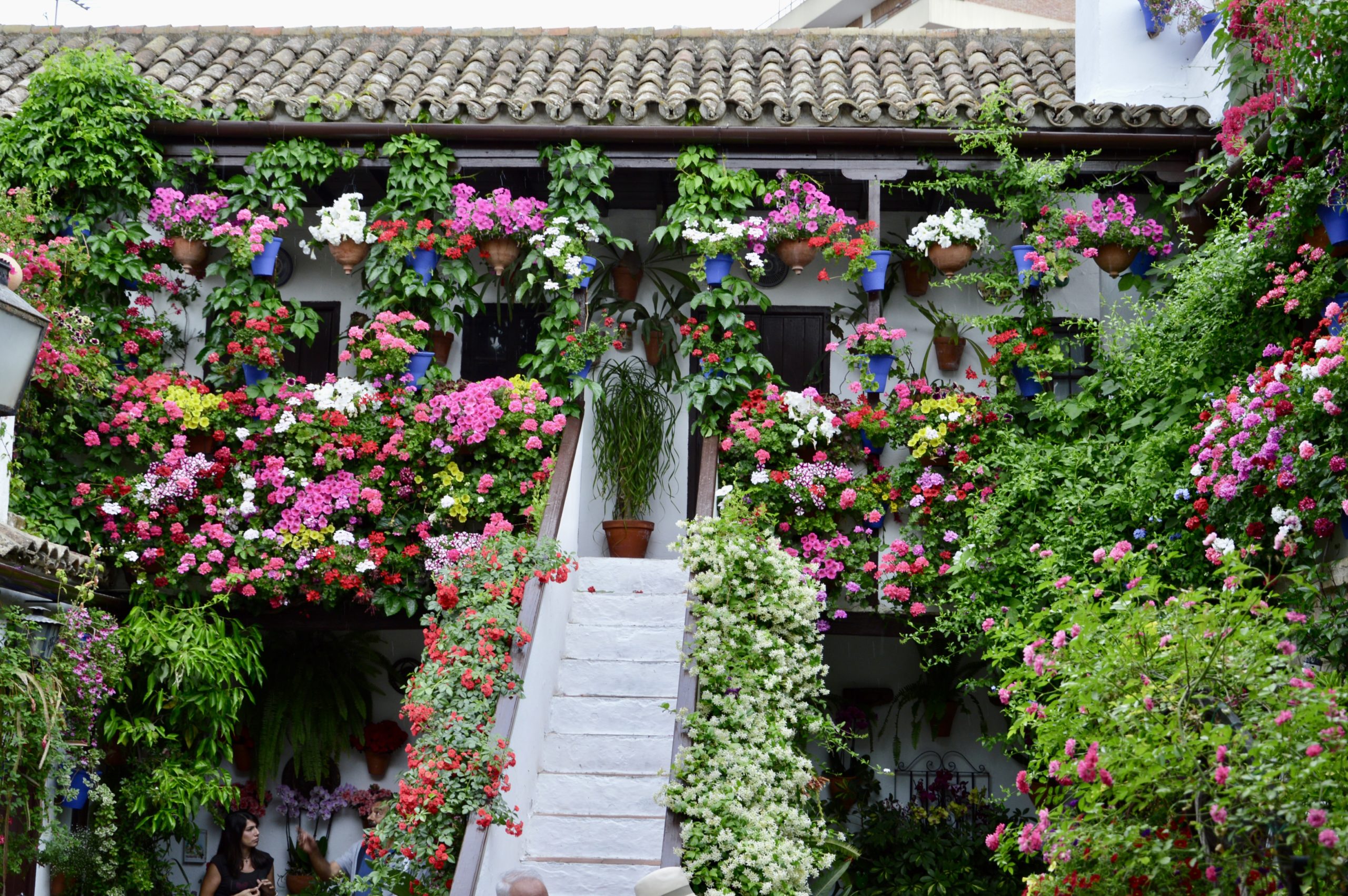 patios-de-cordoba