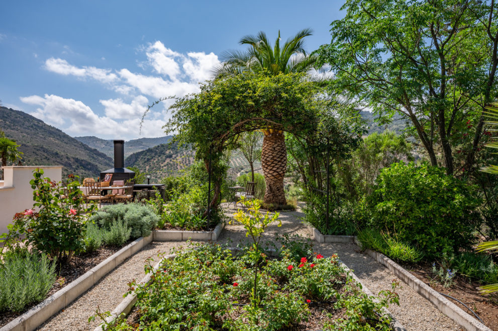 fantastic-manicured-mediterranean-garden