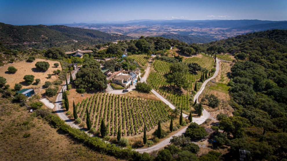 country-estate-with-vineyard