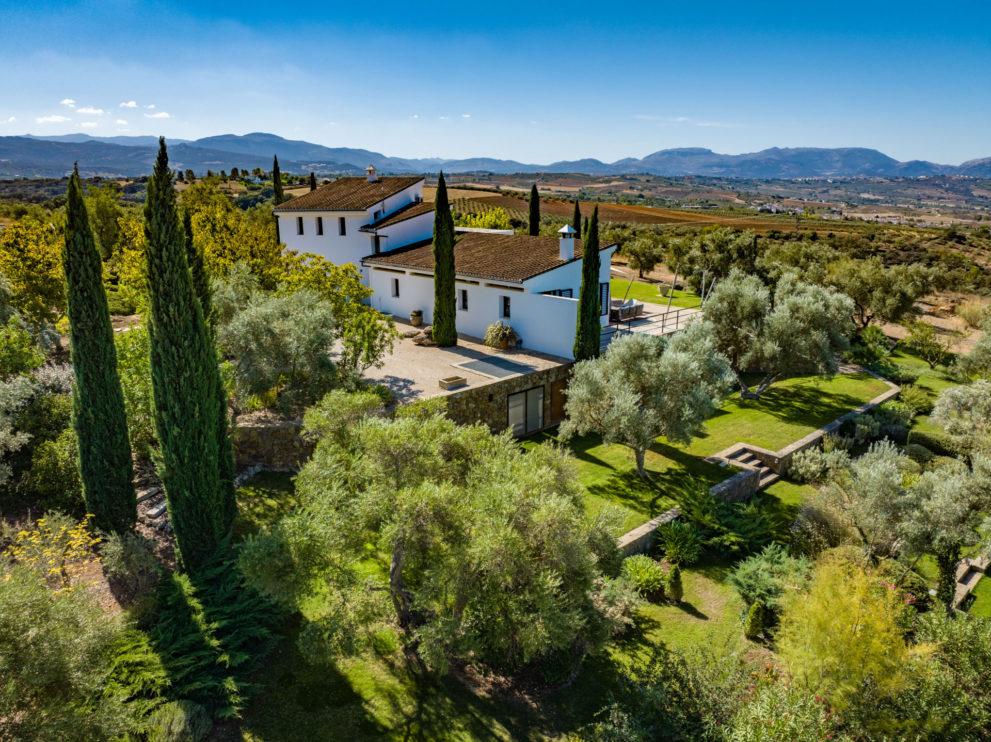 olive-grove-ronda