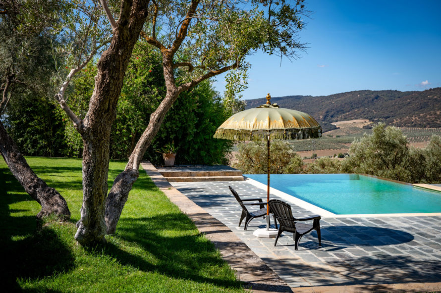 finca-andalucia-olive-farm-vineyard-ronda