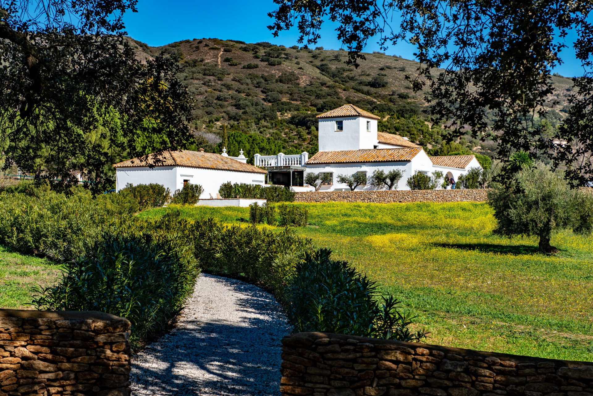 spanish-cortijo-ronda