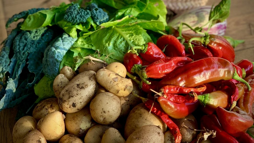 vegetables-andalusian-lifestyle