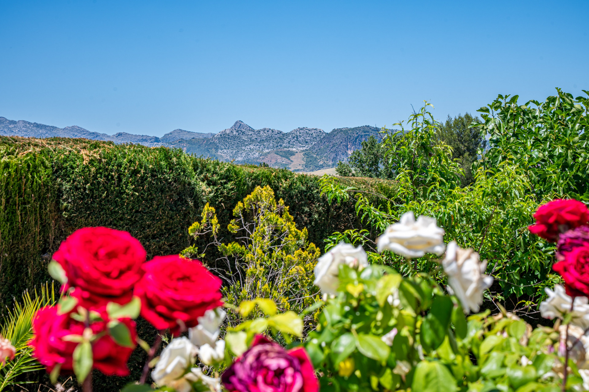 summer-in-spain