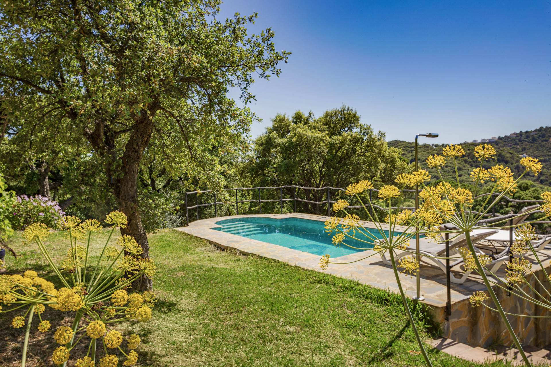 golden-opportunity-casares