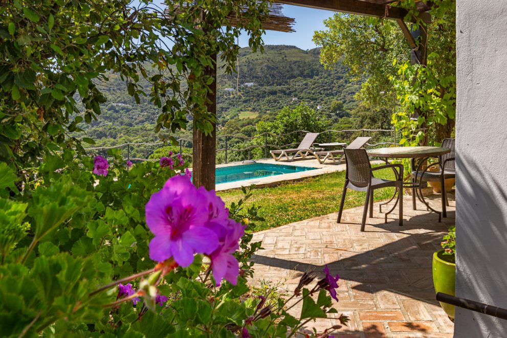 private terrace guest house