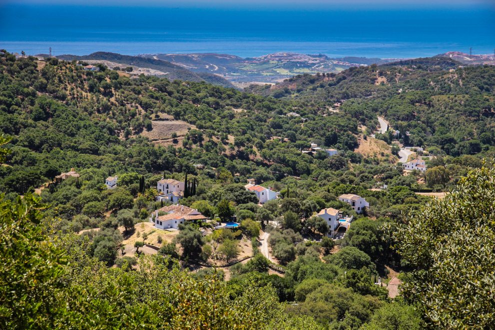 El Jaral 