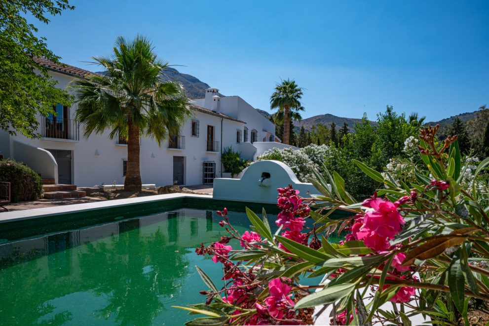 Andalusian living