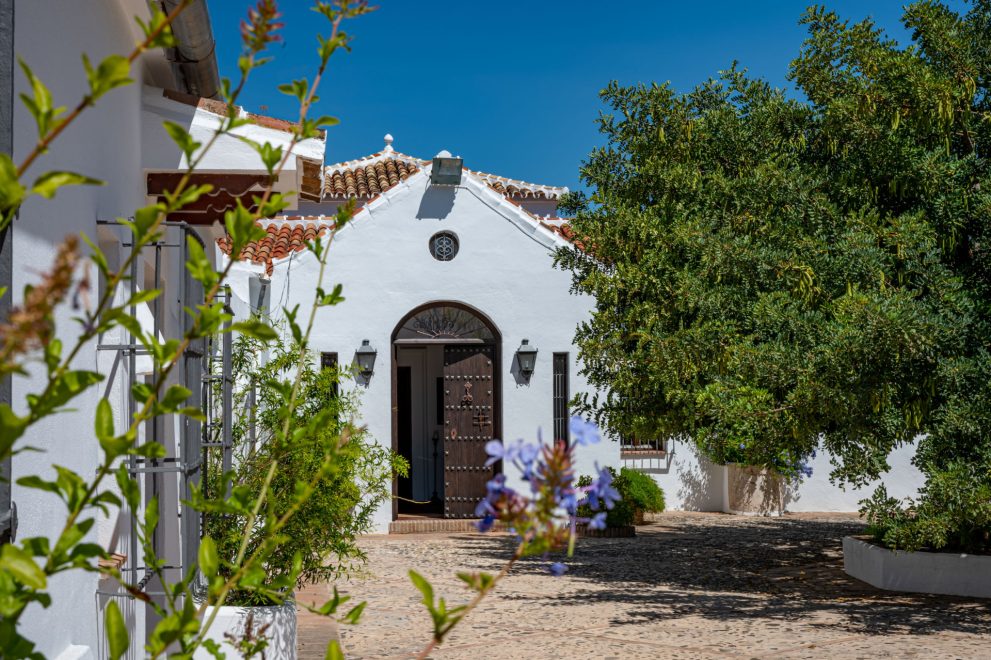 Andalusian living