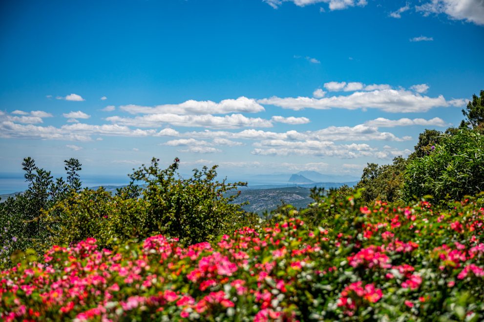 garden-casares