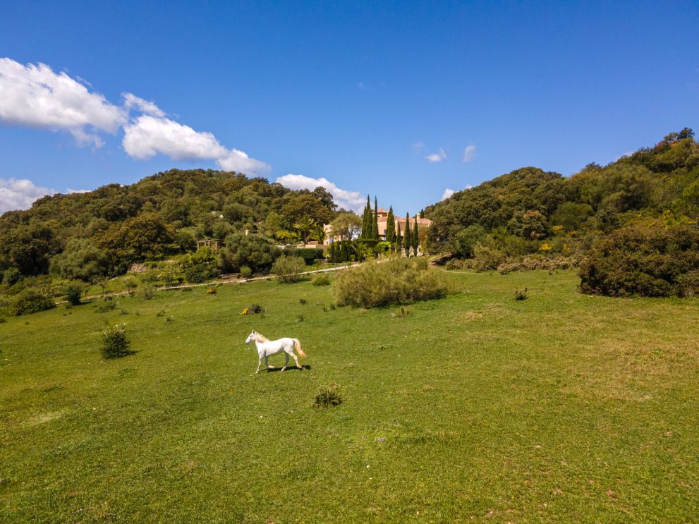 equestrian-property
