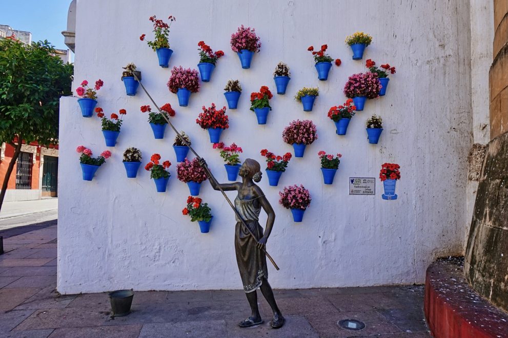 Cordoba-flowers