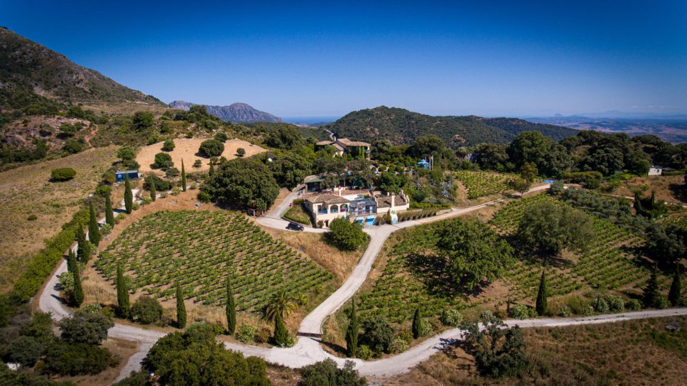 Vineyard Andalucia home