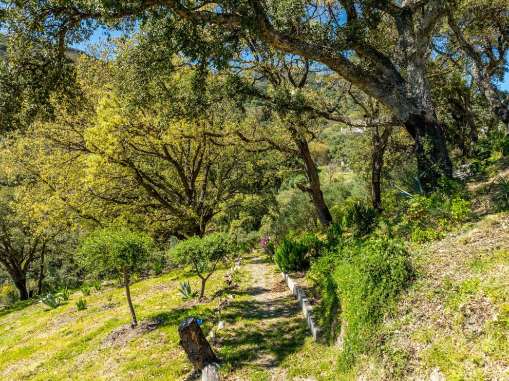 landscaped-gardens