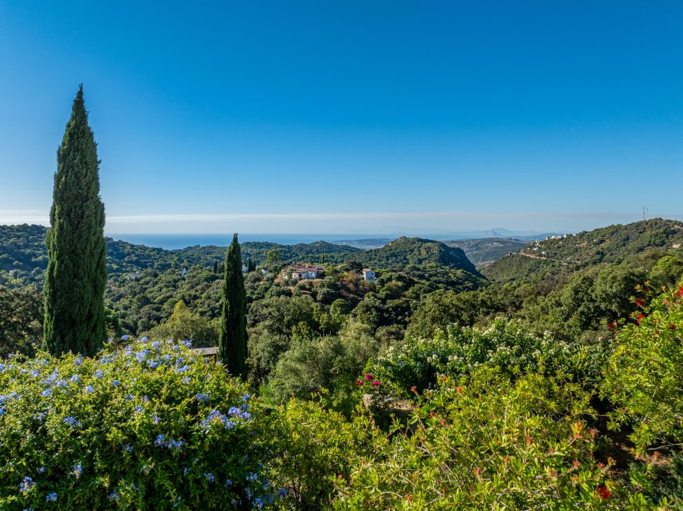 Garden with views